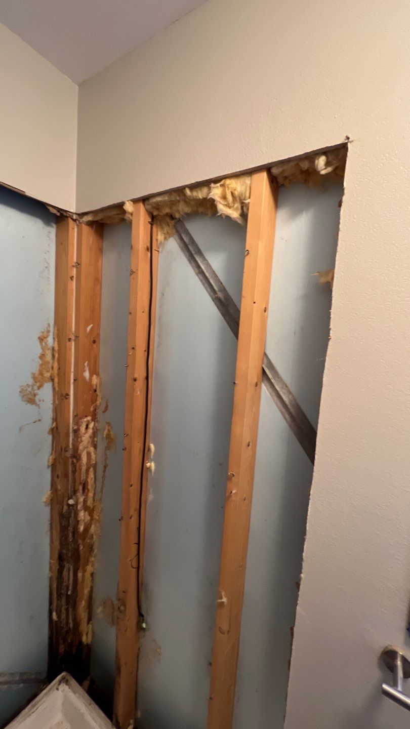 Water Damage and Mold Remediation by Accountable Home Services