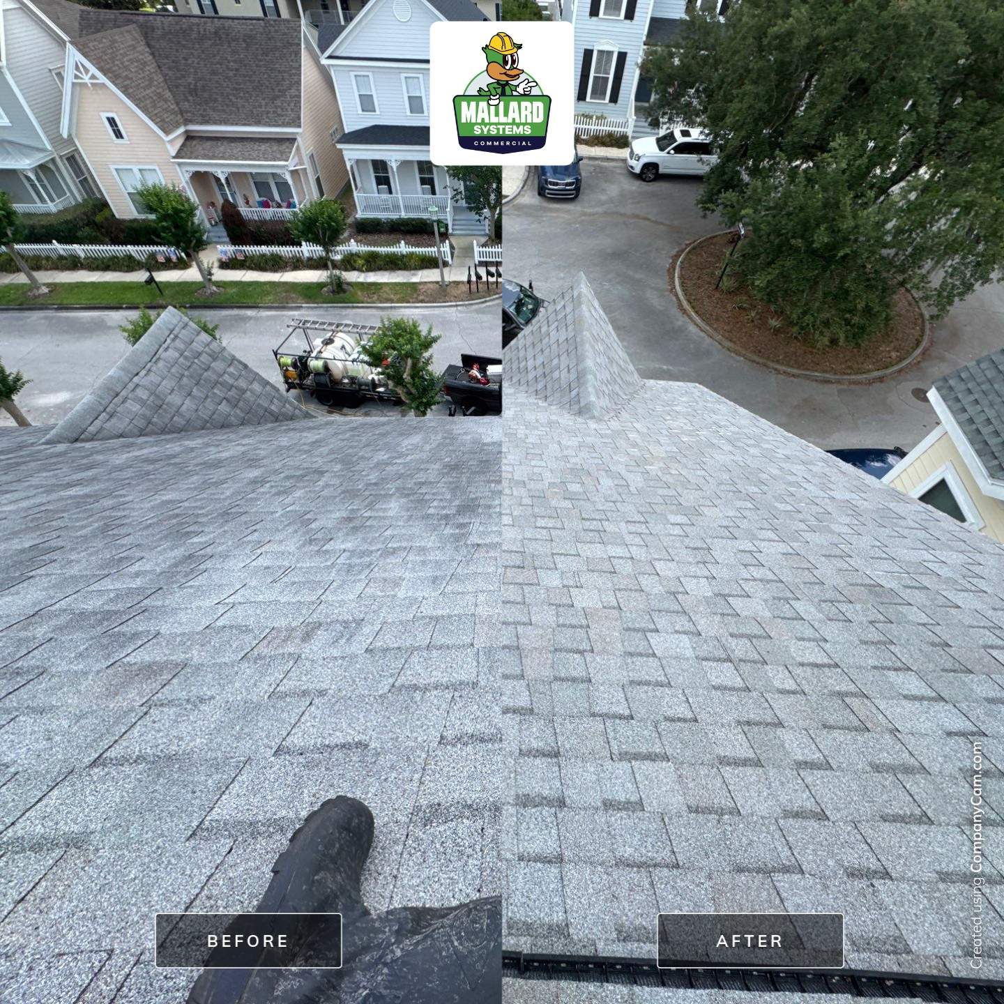 Shingle Roof Cleaning by Mallard Systems