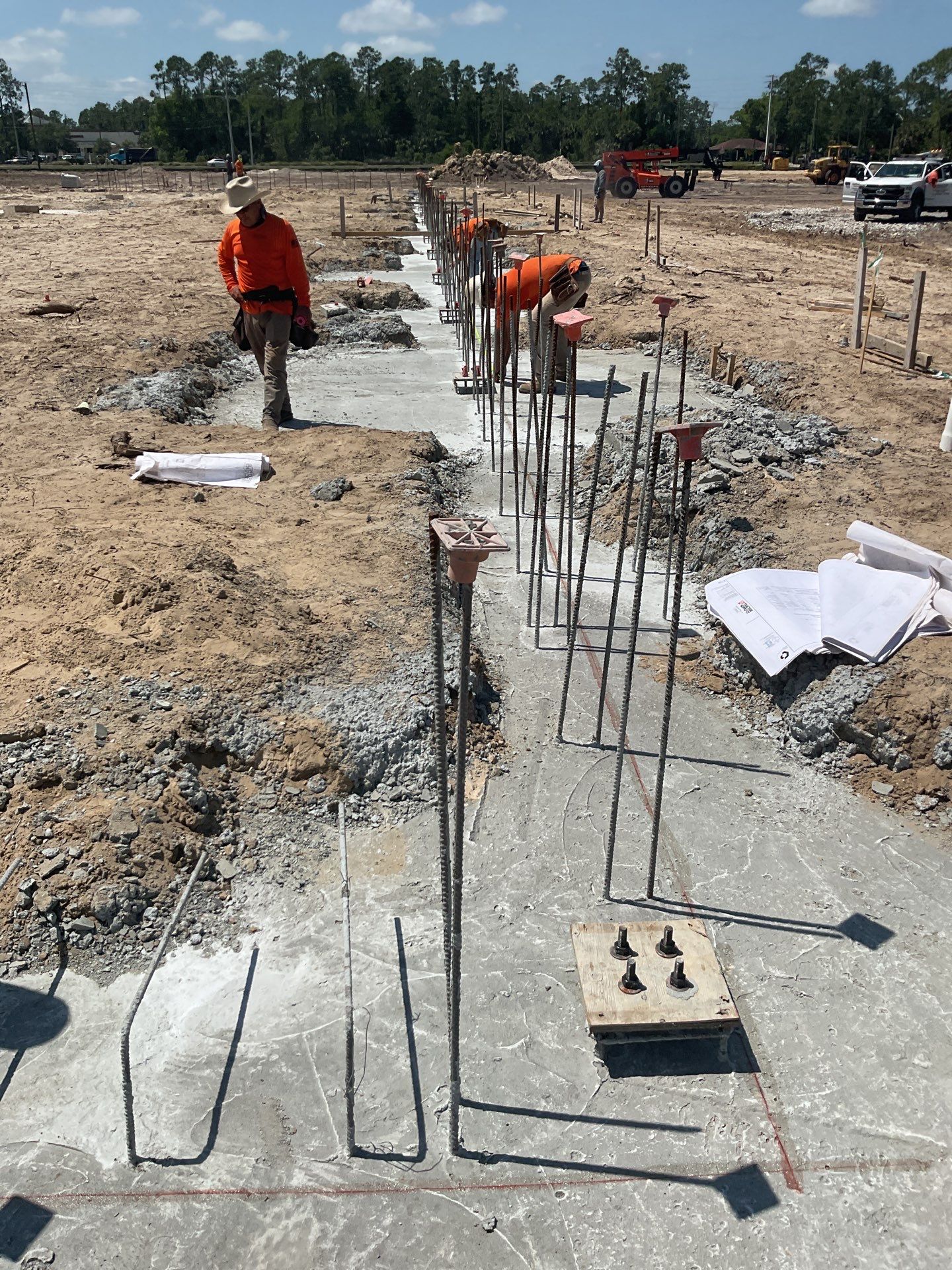 TRACTOR SUPPLY NAPLES by Southern Gulf Construction