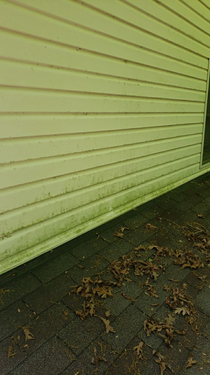 House Wash using cleaner by Power Wash Masters LLC