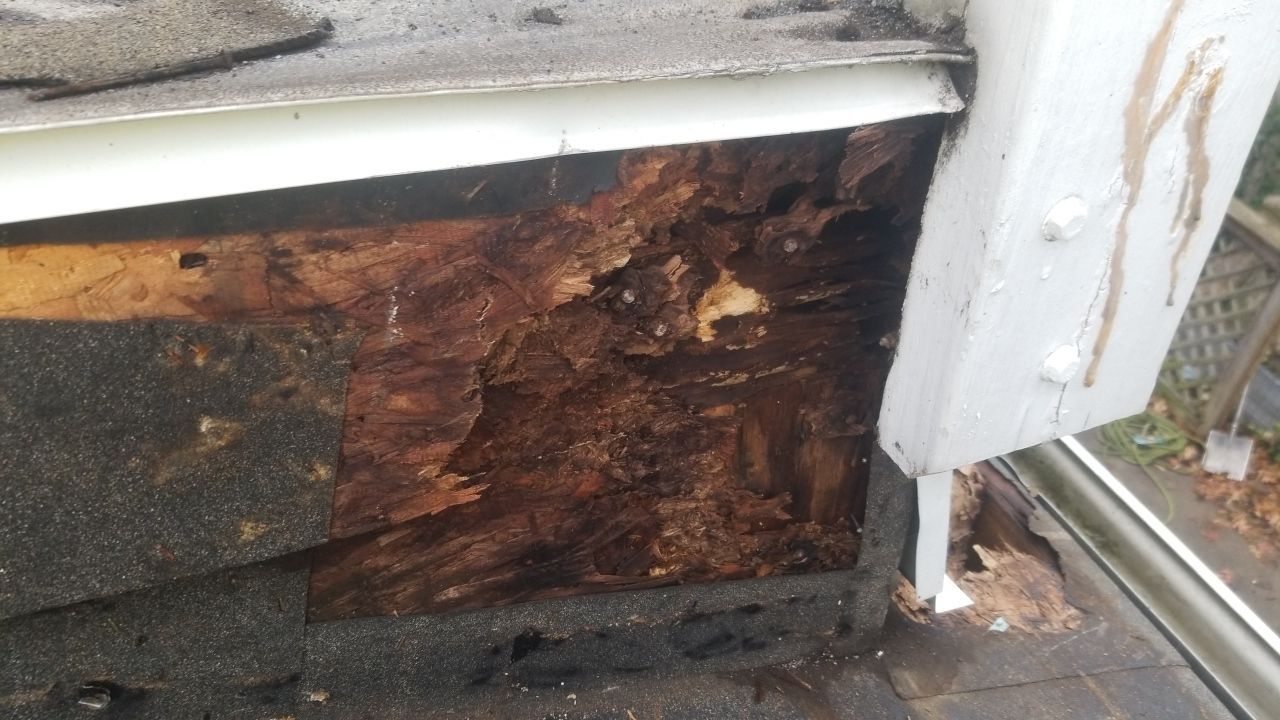 Lakewood Roof Install by Absolute Roofing and Construction