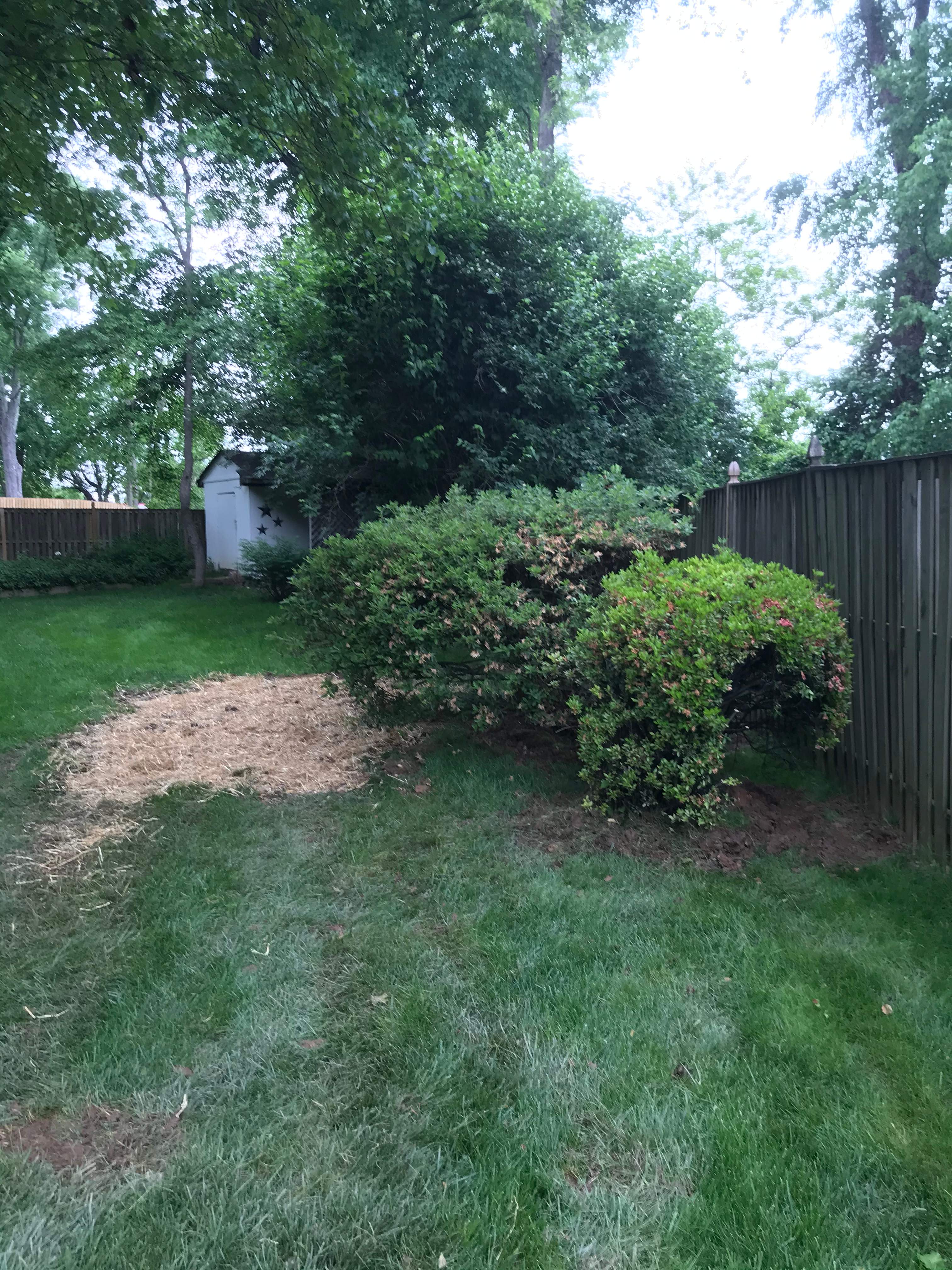 laundry and Cabana bath addition, Vienna, VA by Fairfax Contractors, LLC