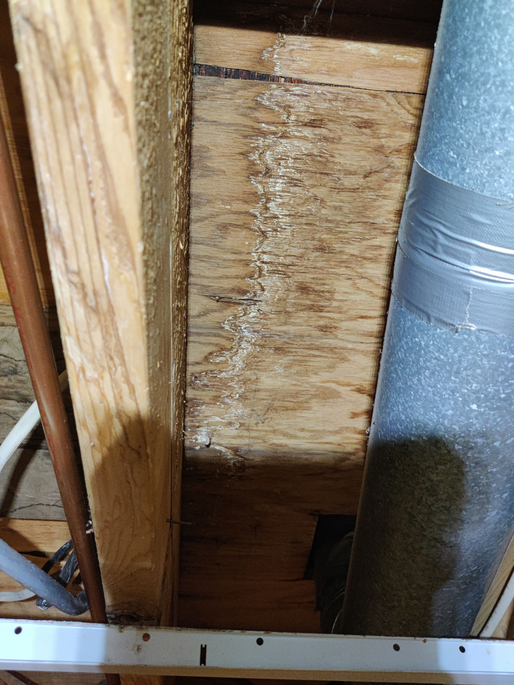 Mold Remediation using Containment by Accountable Home Services