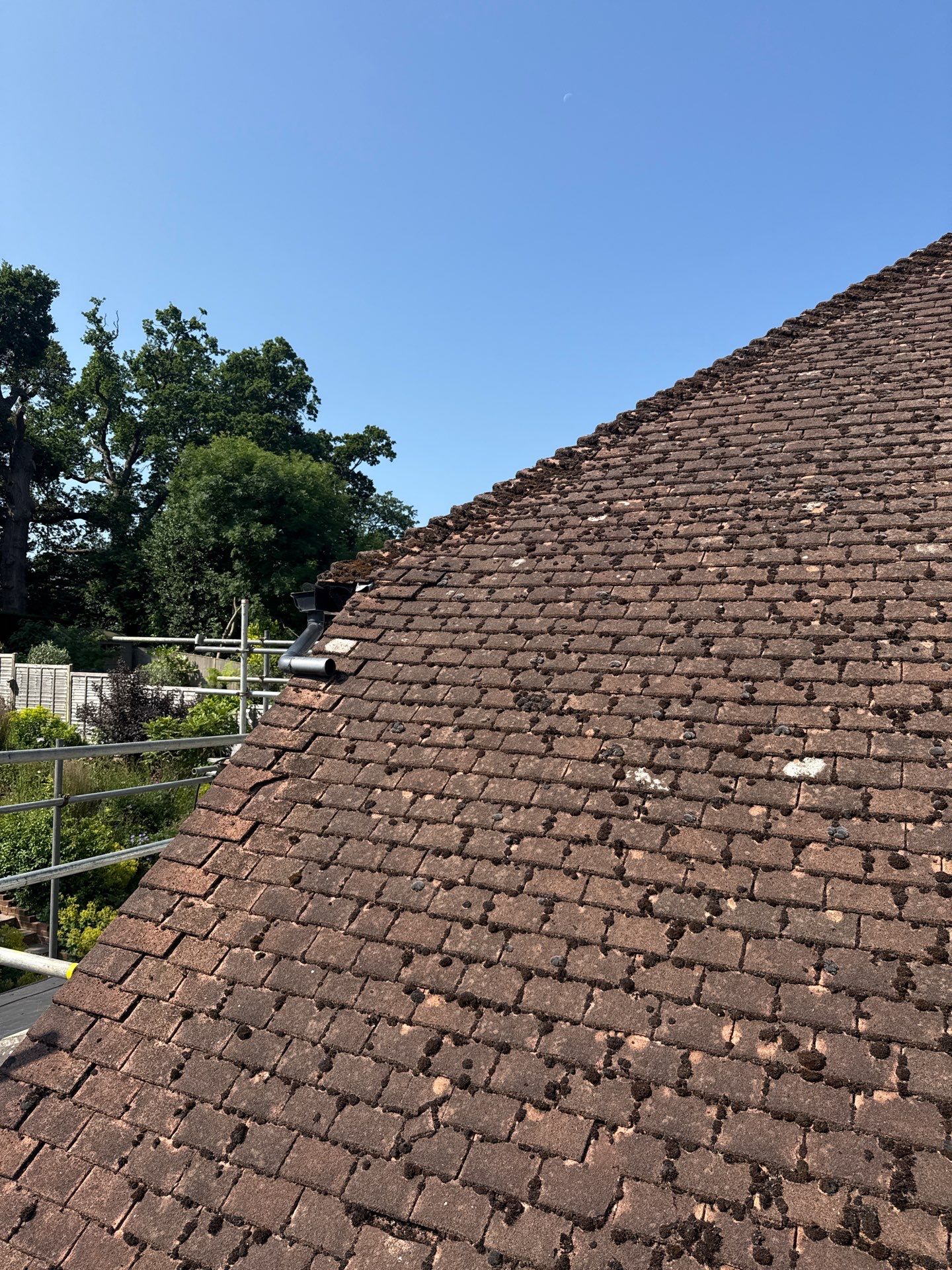 Roof Clean - Gutter Clean - Biocide Treatment by Ges Exterior Cleaning ltd
