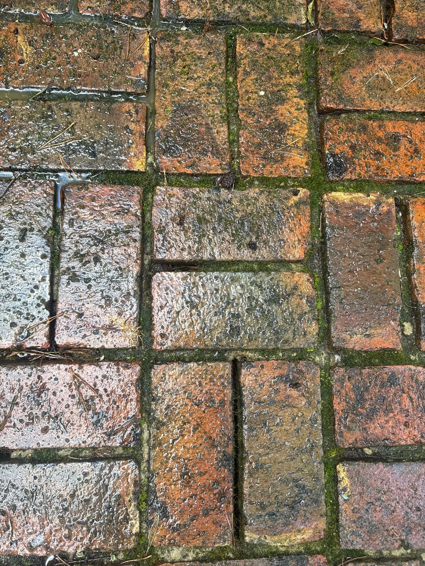 Roof - Driveway - Patio Clean using 18inch Whirlaway FSC by Ges Exterior Cleaning ltd