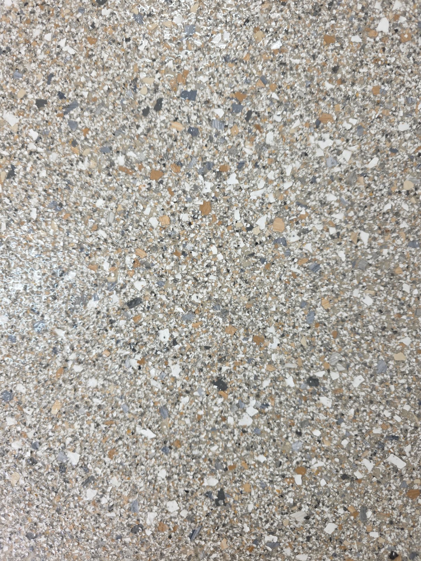 Claystone Hybrid Concrete Floor Coating for Newport Shop Transformation by Croc Coatings, LLC