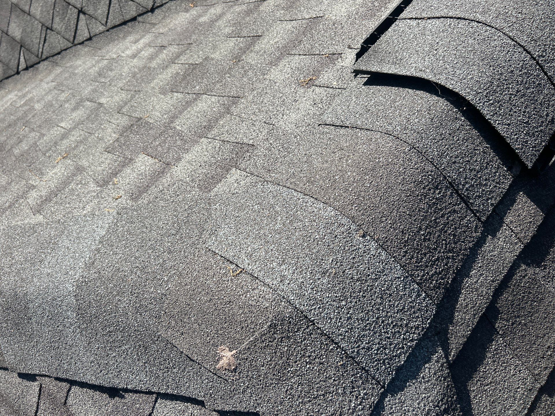 Roof Repair Spring by Roof Repair Company