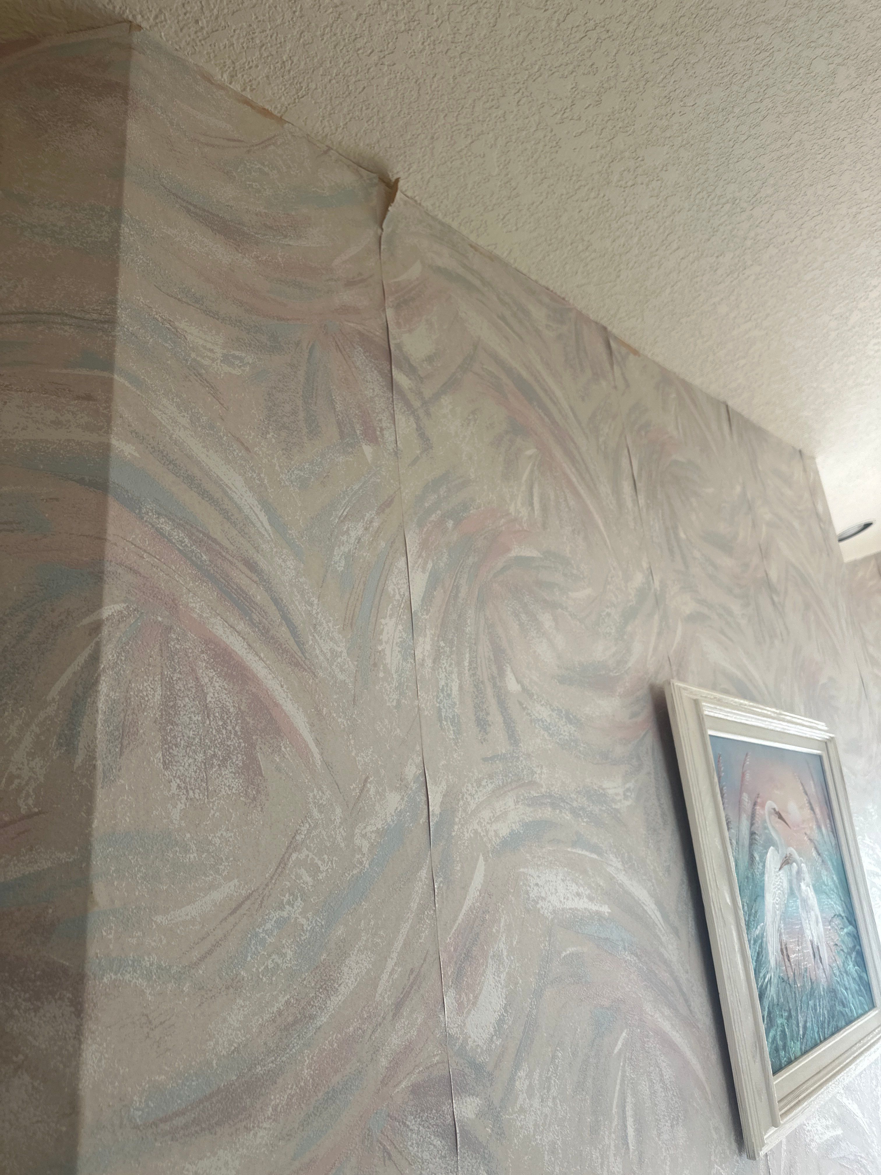 Lenny Van Denhandel - Interior by Fresh Coat Painters
