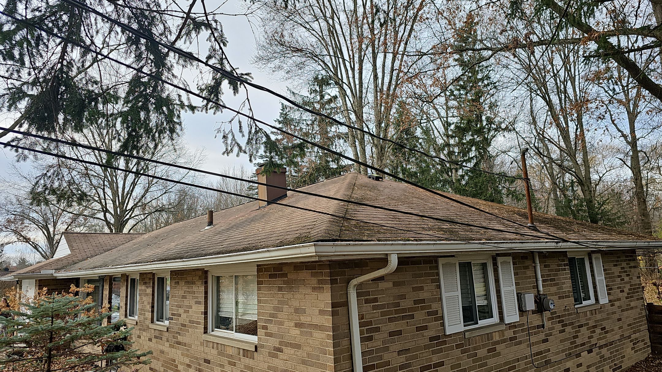 Atlas Pinnacle, Color, Black Shadow, Drip Edge, Color, Black by Eagle Eye Roofing