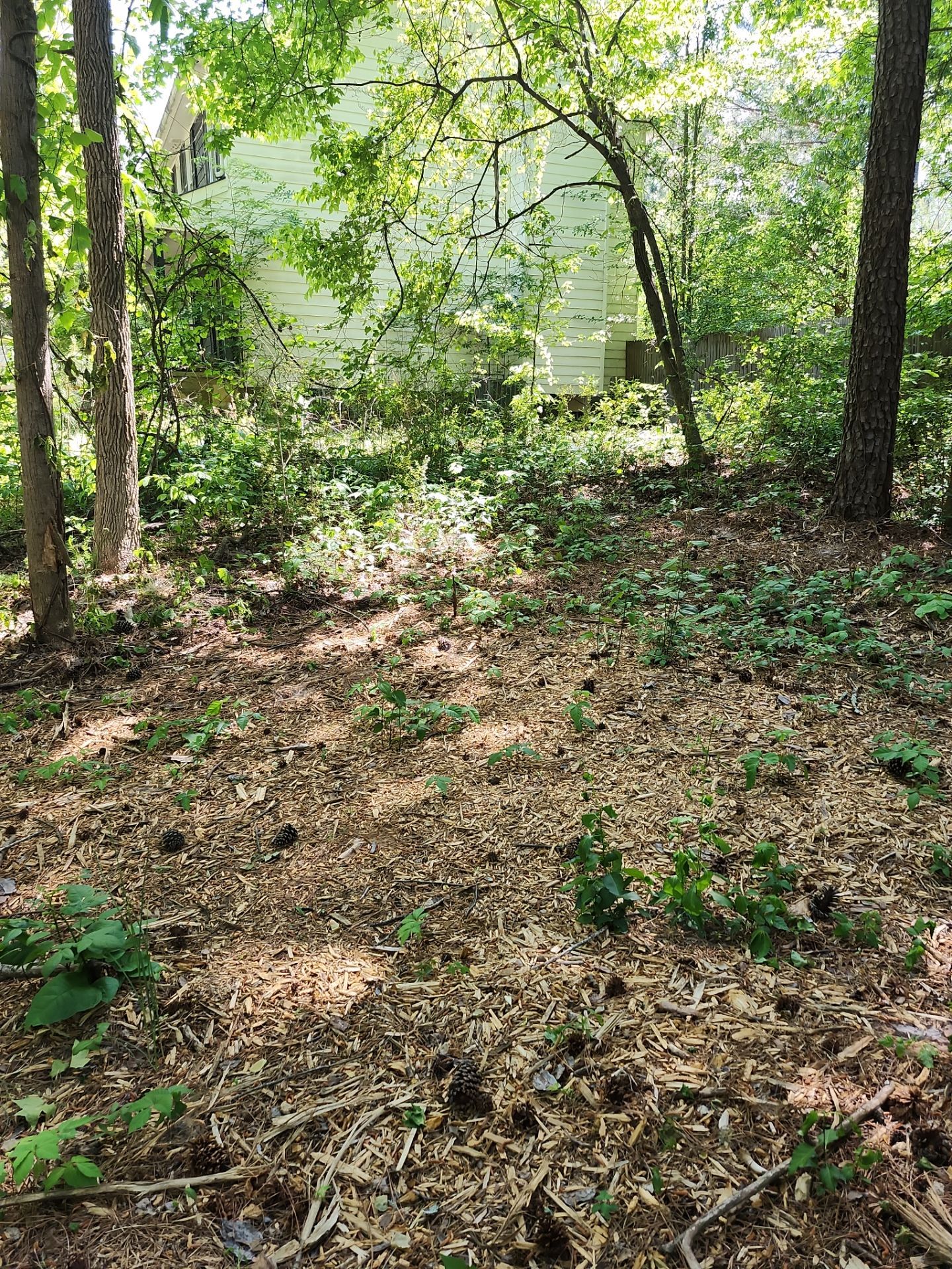 Project in Fayetteville, GA by Task Masters Handyman Services, LLC