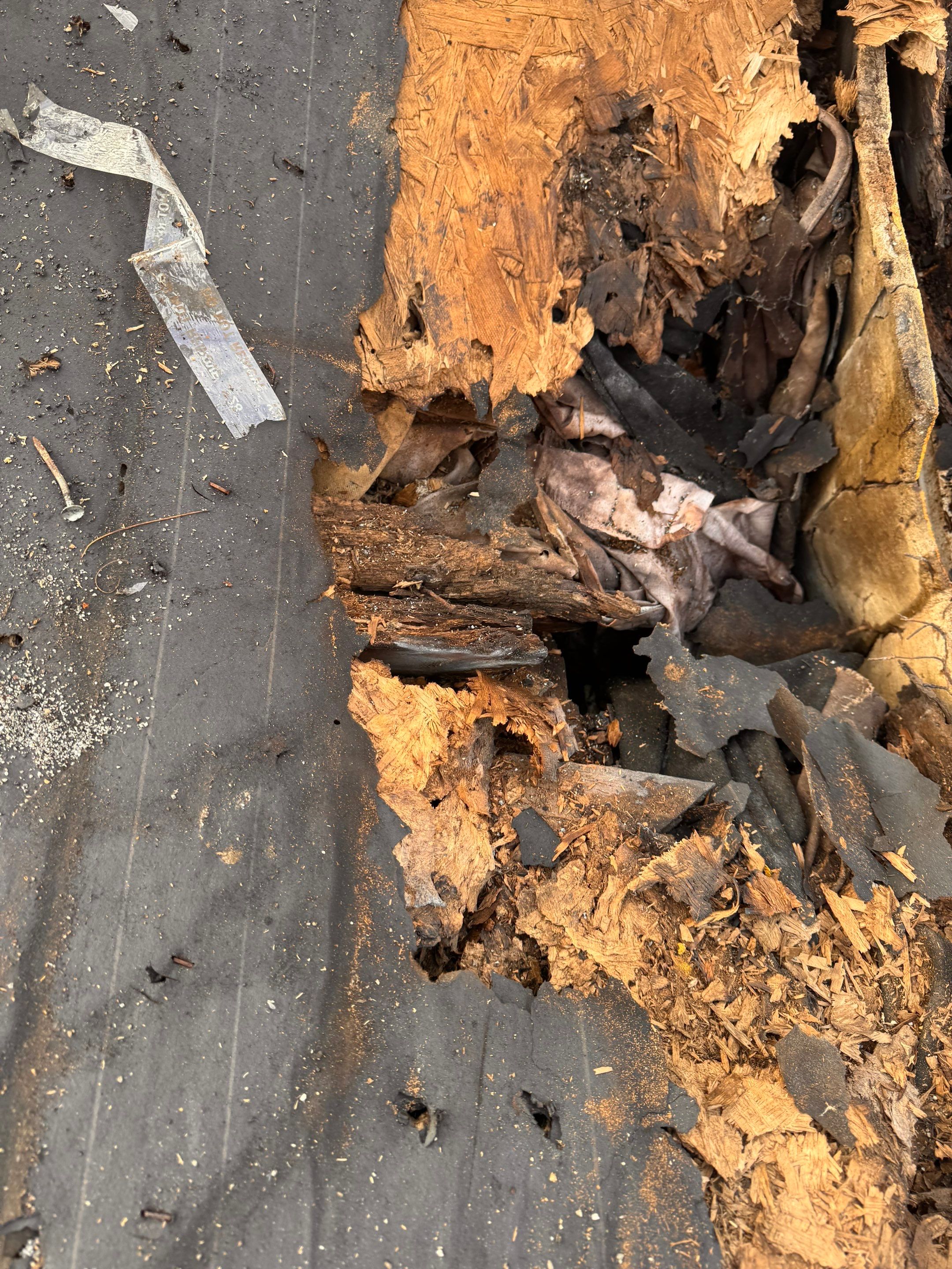 Project in Holland by Serene Construction