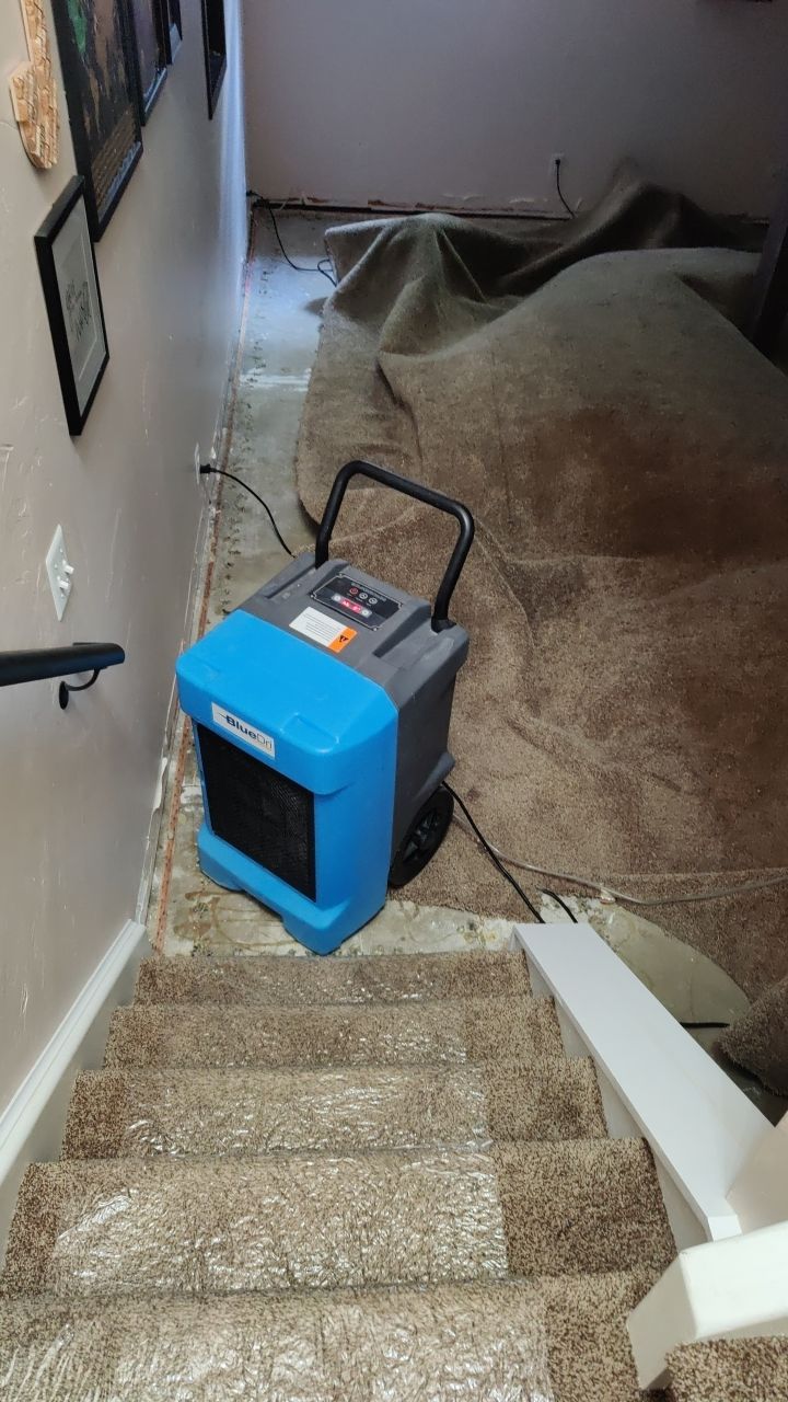 Water Damage  by Accountable Home Services