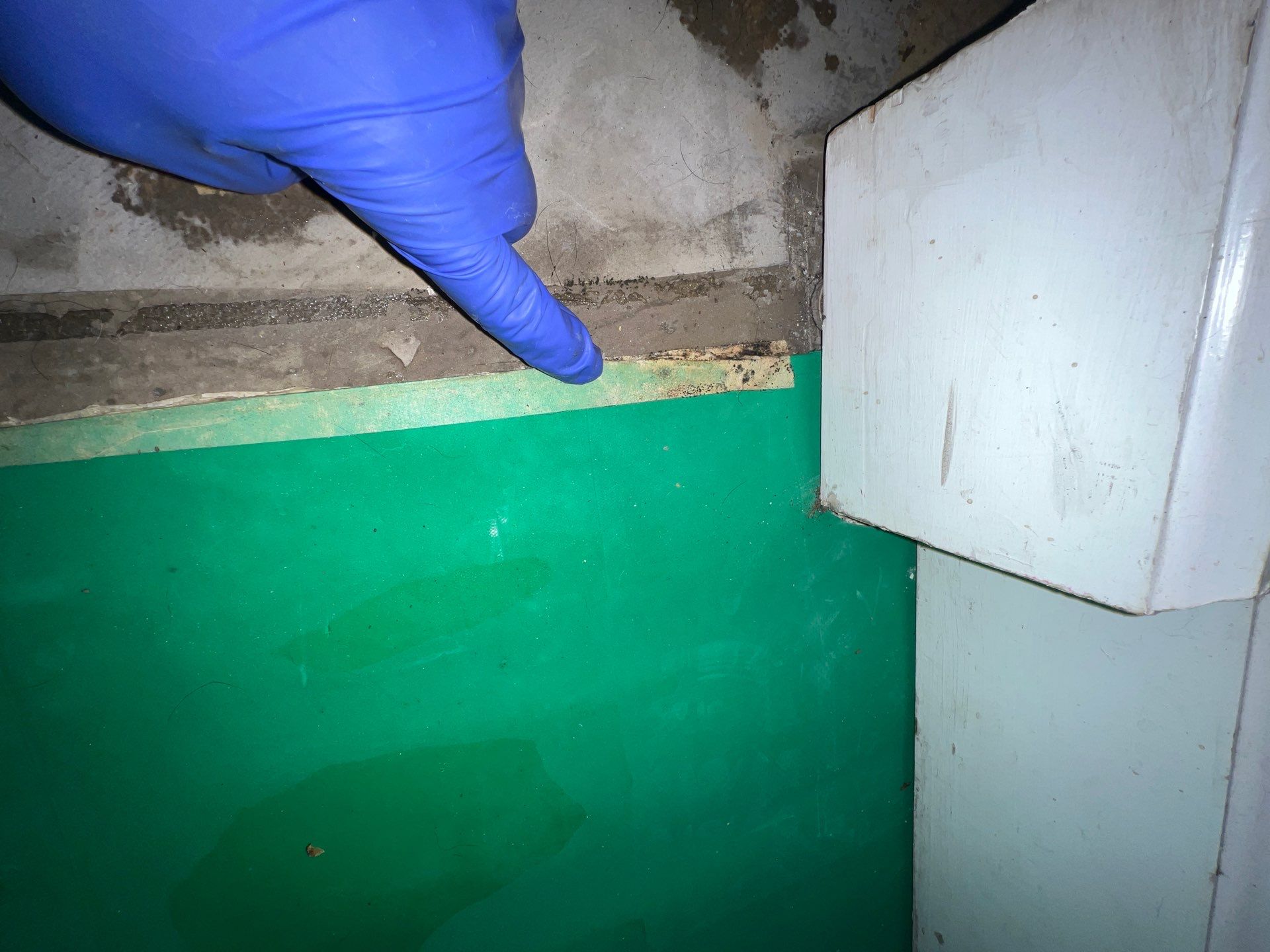 Stansell - water and mold photos  by THE RAPID TEAM