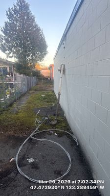 Tukwila Arborist Reporting