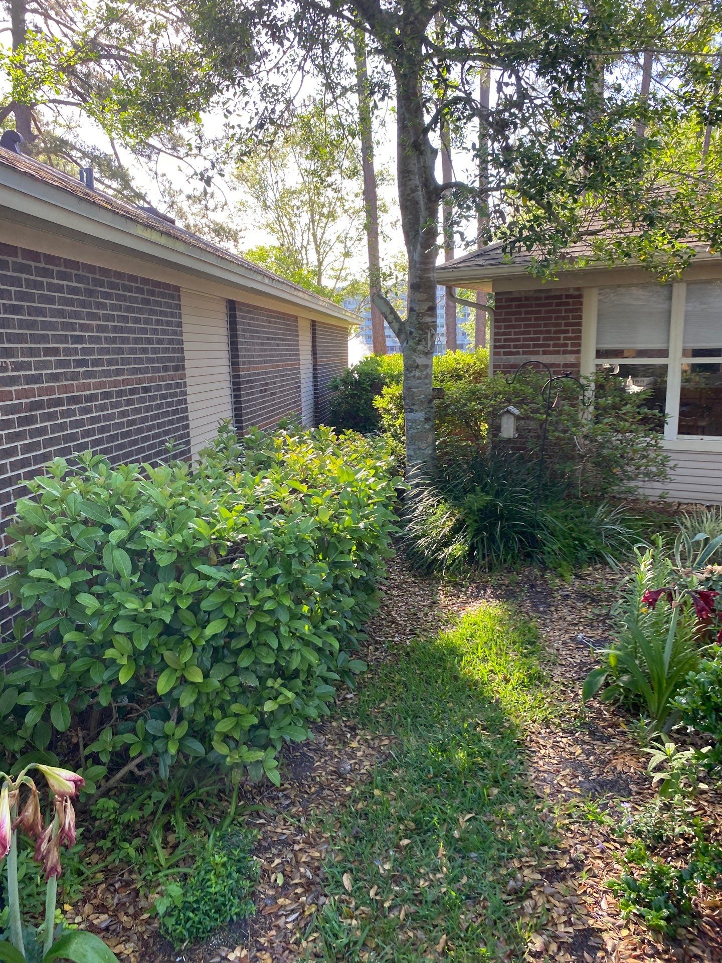 Residential | Volunteer Clean-Up by ProGreen Services