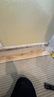 Project in Thornton