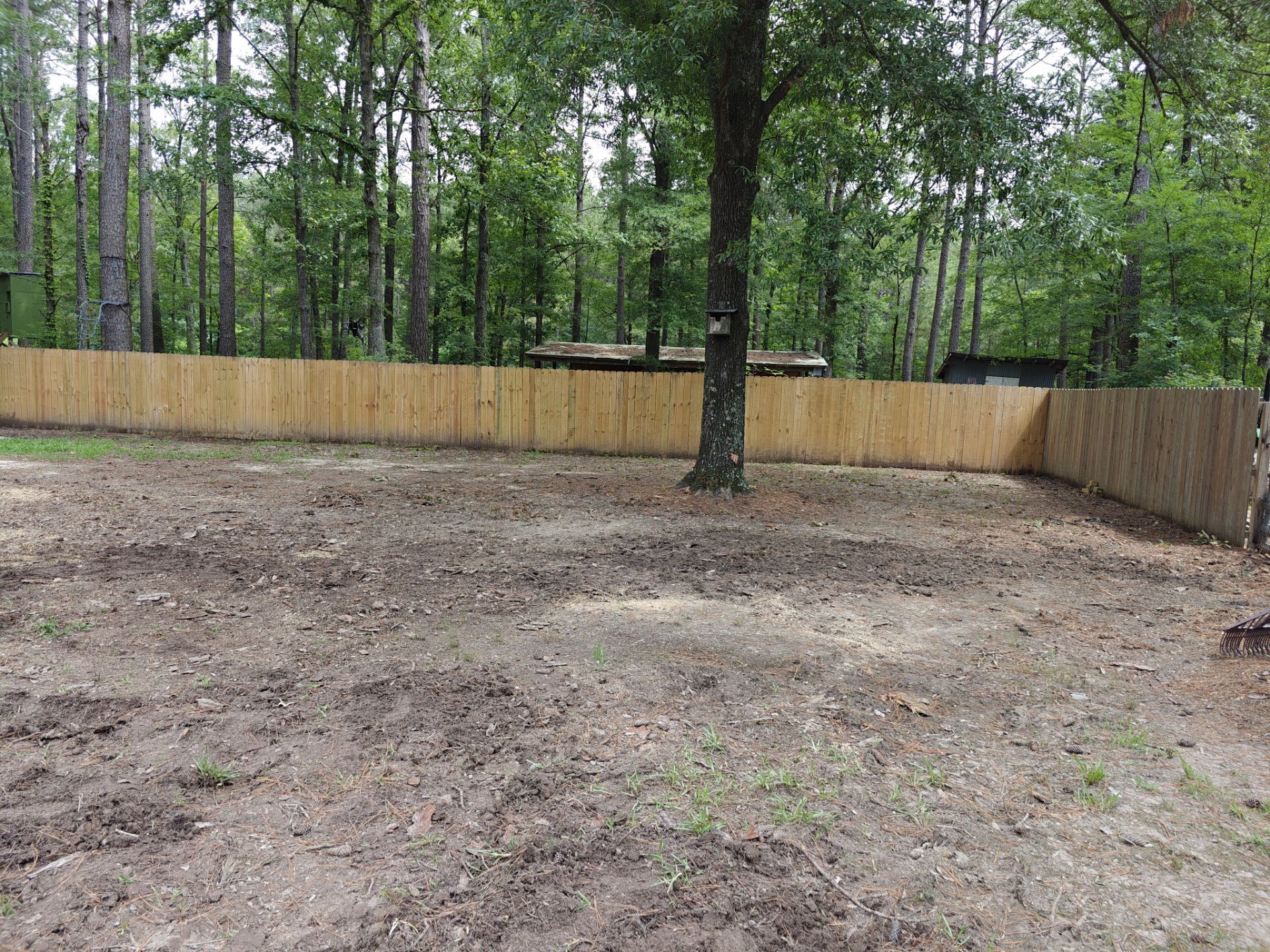 Weekly Landscaping  by College Bros Outdoor services