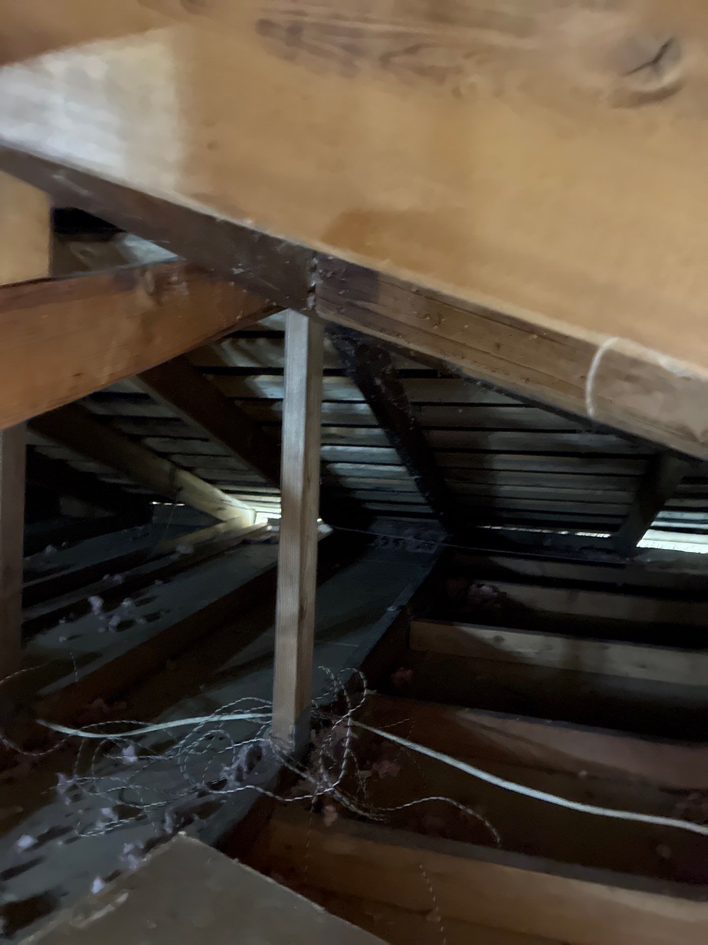 Project in Sacramento by 911 Hazmat Cleanup