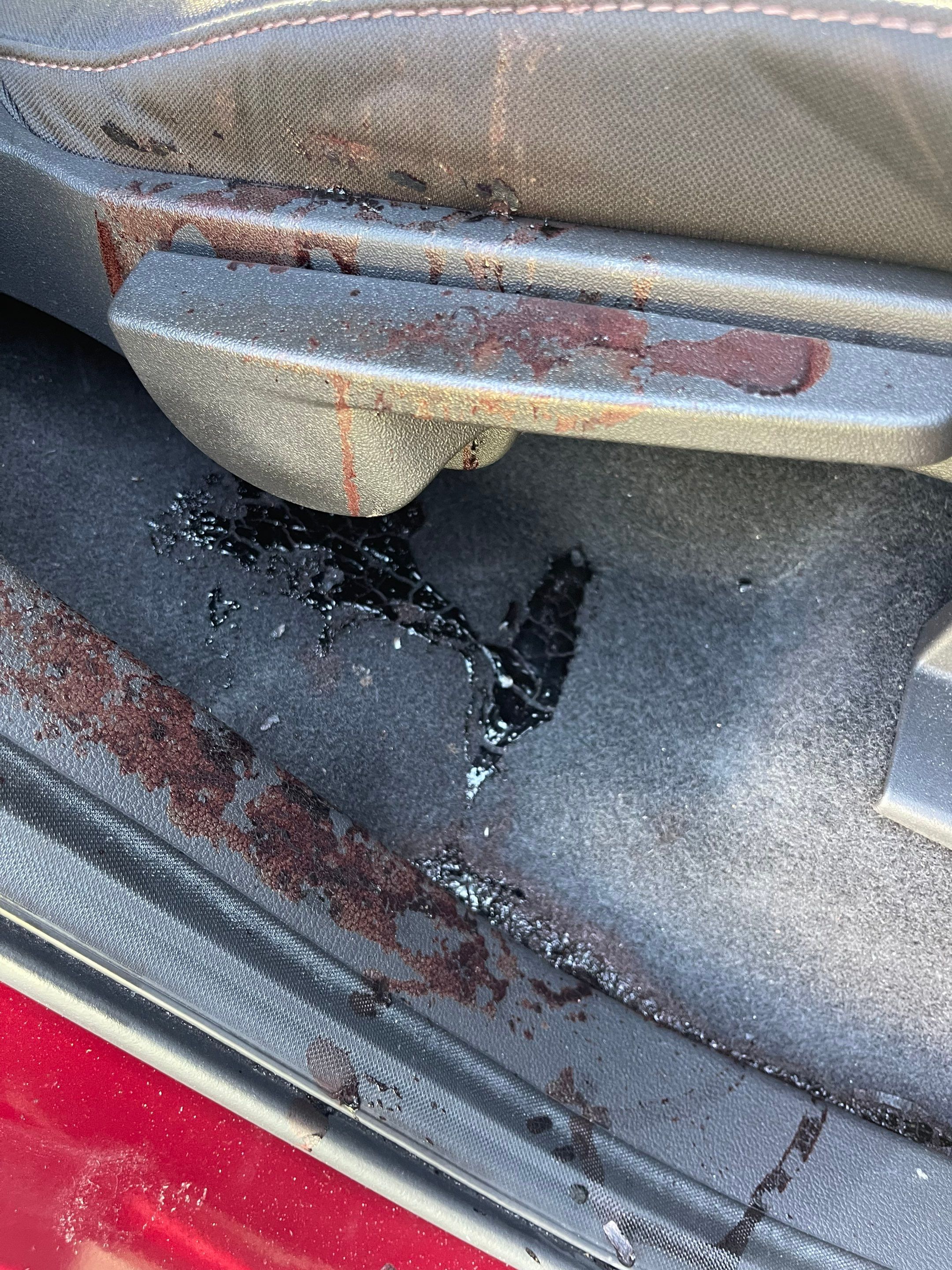 Vehicle Suicide in Cape Coral by Sadie’s Pro Cleaning