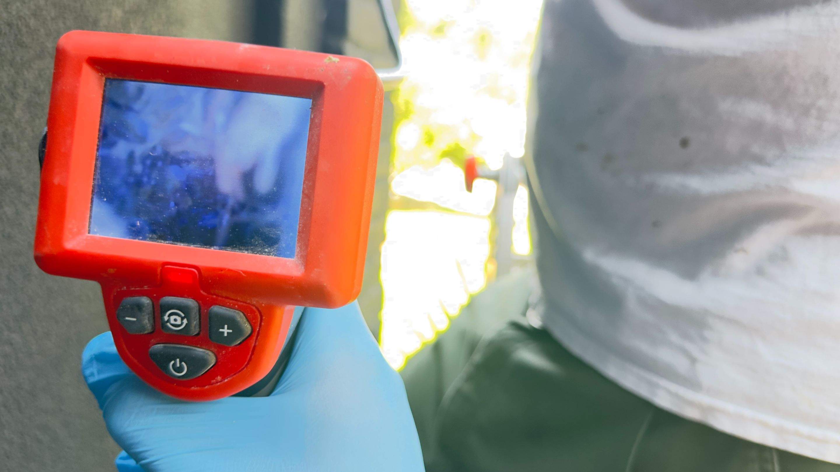 Sneakers by Rockwall Honey Bee Company