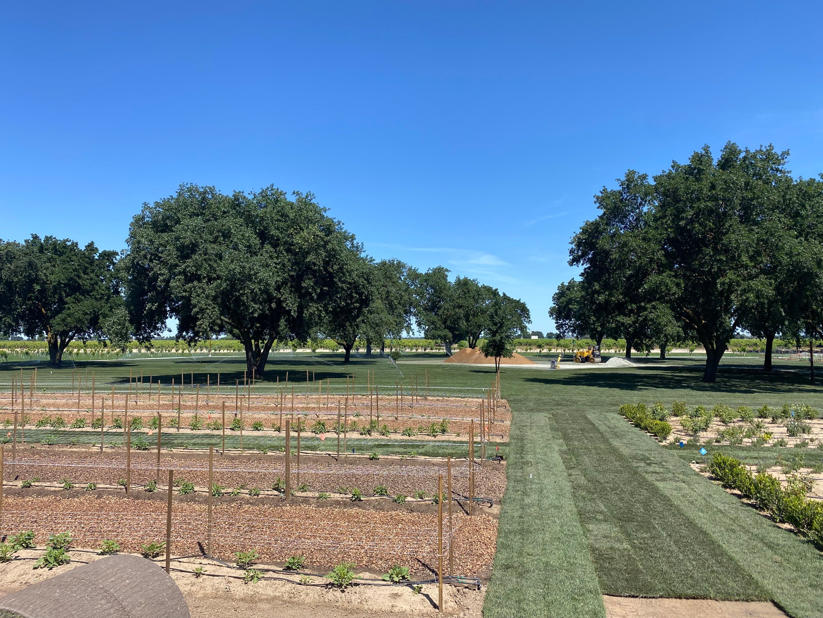 Project in Lodi by A - G Sod Farms