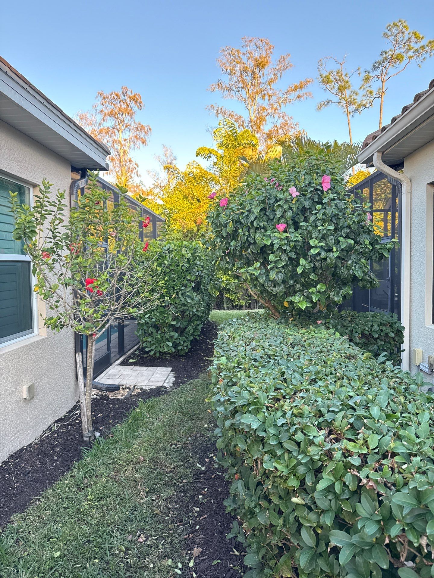 Downspouts using White Down Spouts in Fort Myers FL by Gutter Professors