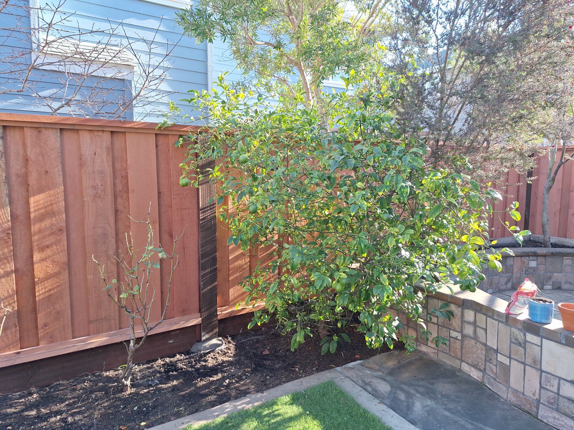 Board on Board Fence by Fremont Fence Inc