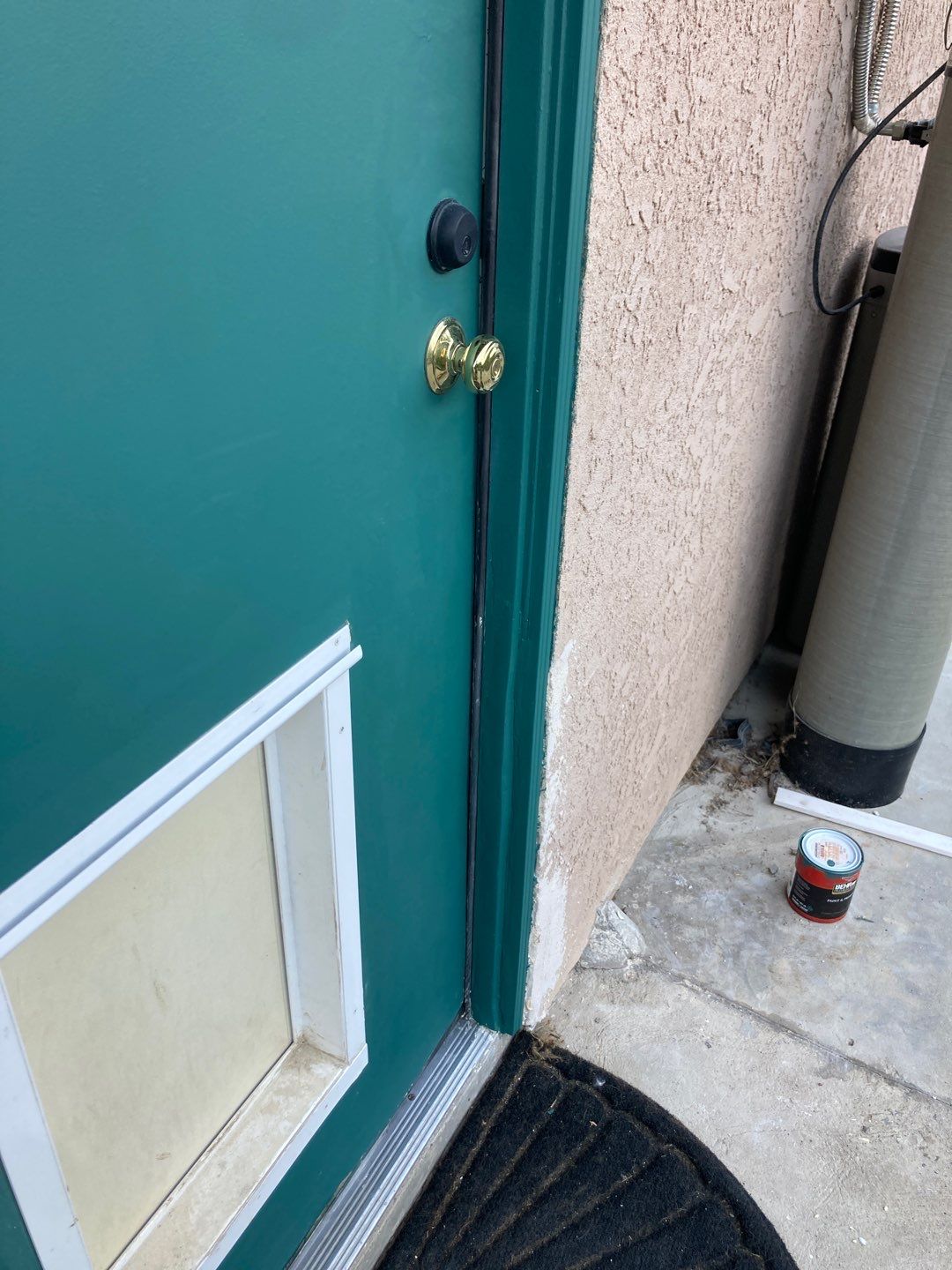 Repair Door Face by Andre Handyman
