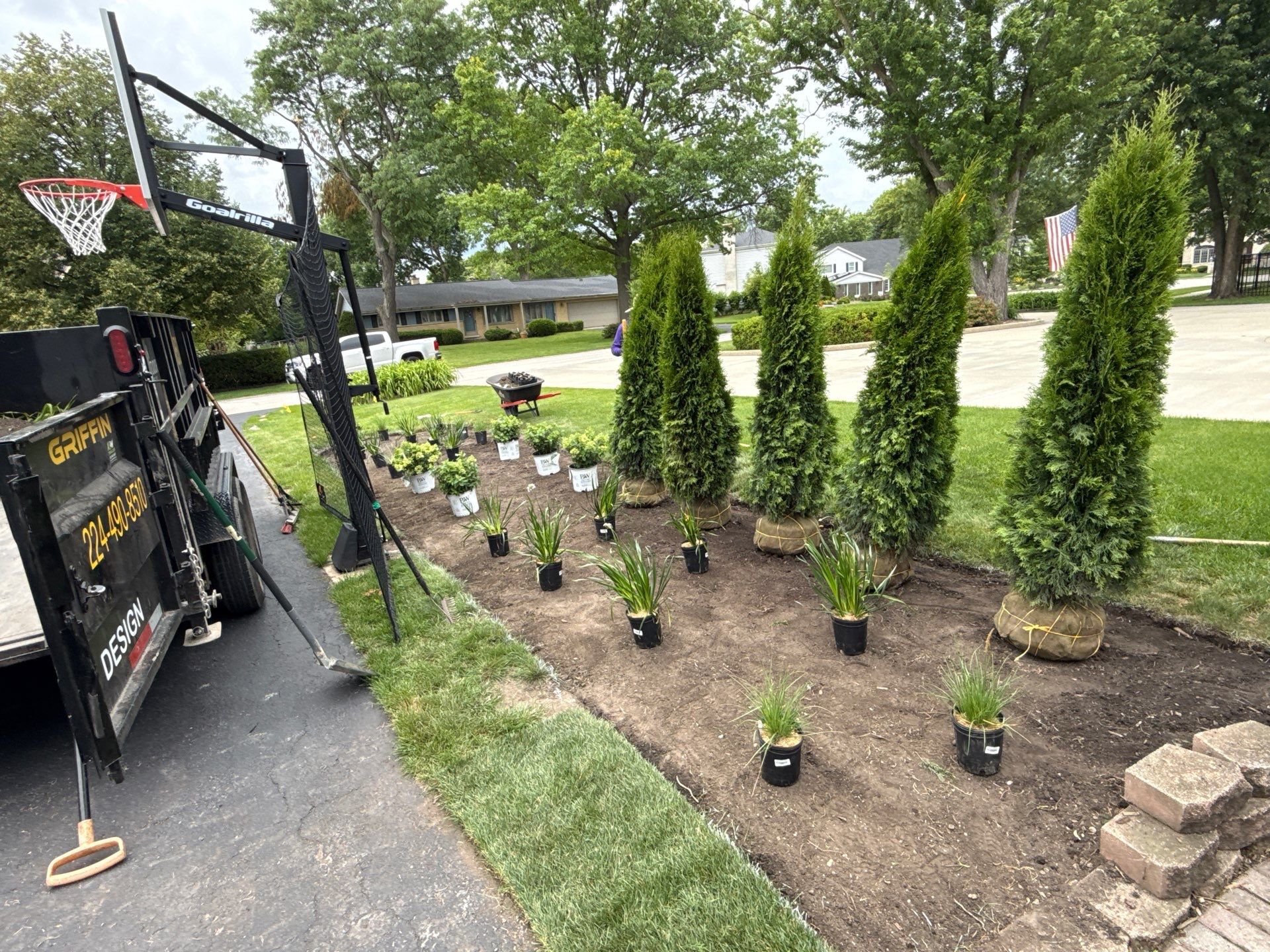 Anne P. - Arlington Heights, IL by A&N 