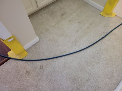 Investment Property, Carpet Cleaning