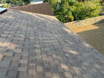 Shingle Reroof Replacement Ocoee FL