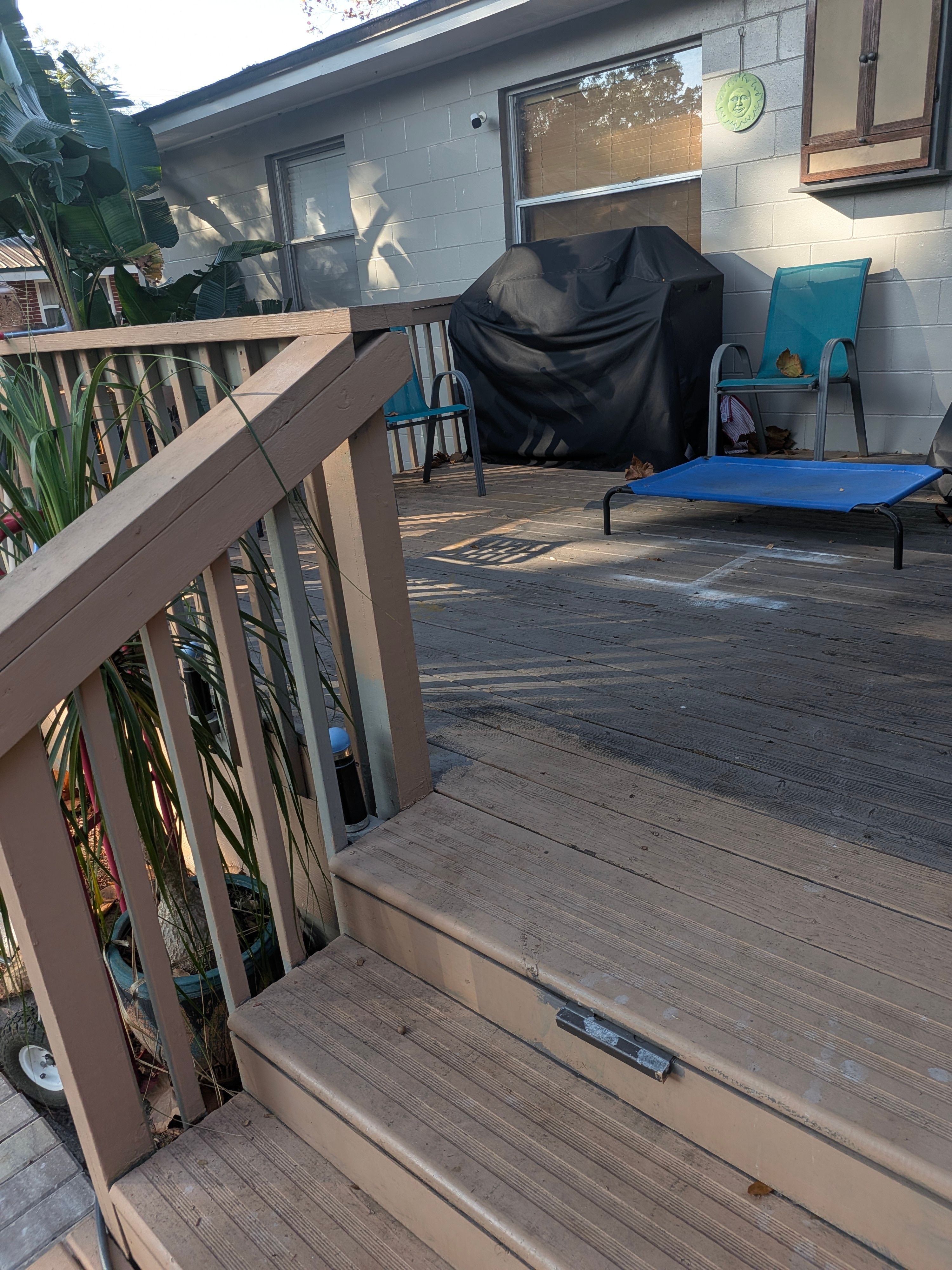 Large-Scale Leaf Removal & Property Cleanup — Jacksonville, FL (Arlington Area) by Harmoni Home Services