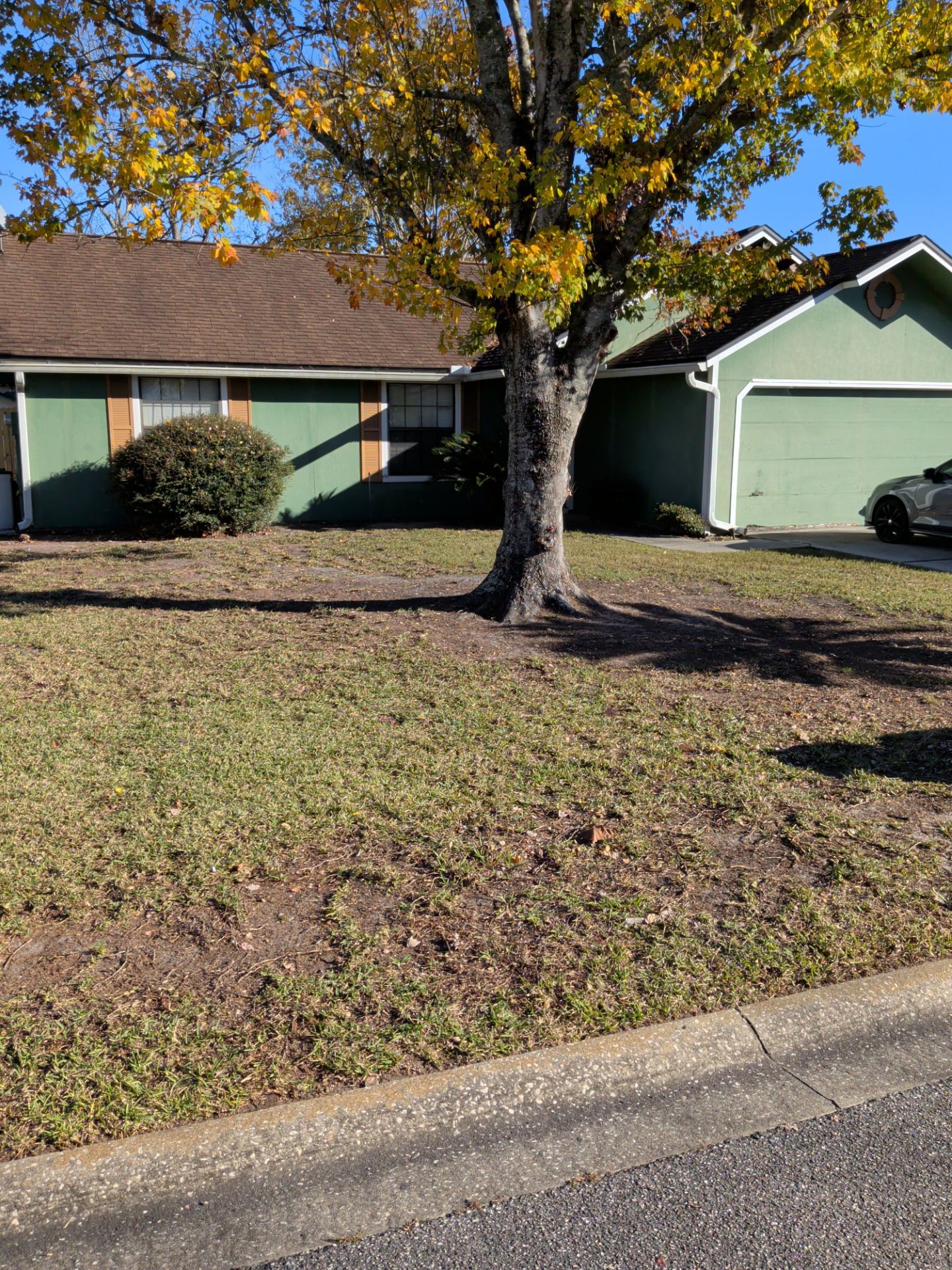 Residential Leaf Removal Service — Westside Jacksonville by Harmoni Home Services