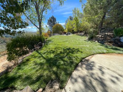 Project in Cameron Park