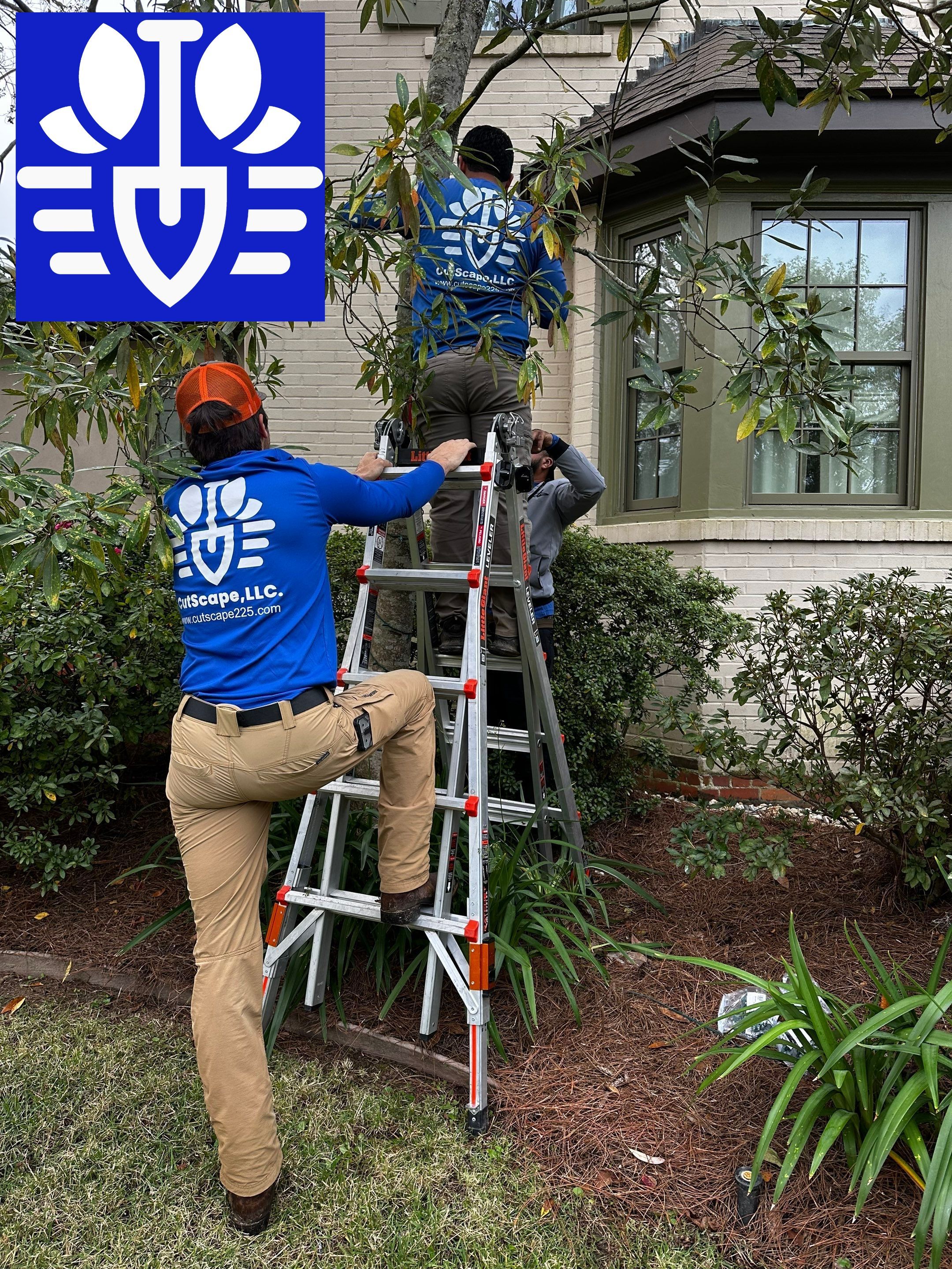 HOLIDAY LIGHTING using PRE LIT GARLAND & 5MM TREE WRAP STRANDS by CutScape, LLC.
