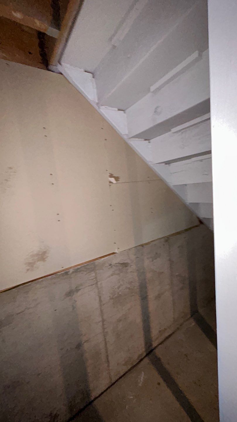 Mold Damage by Accountable Home Services