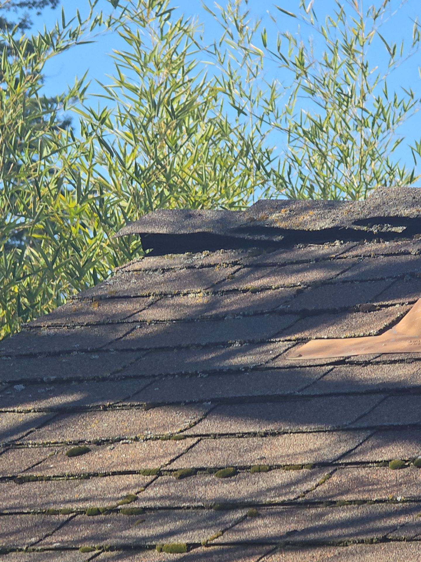 Roof Rejuvenation using Roof Maxx Treatment by Roof Maxx of Folsom