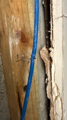 Burst Pipe Water Damage — Fort Myers, FL