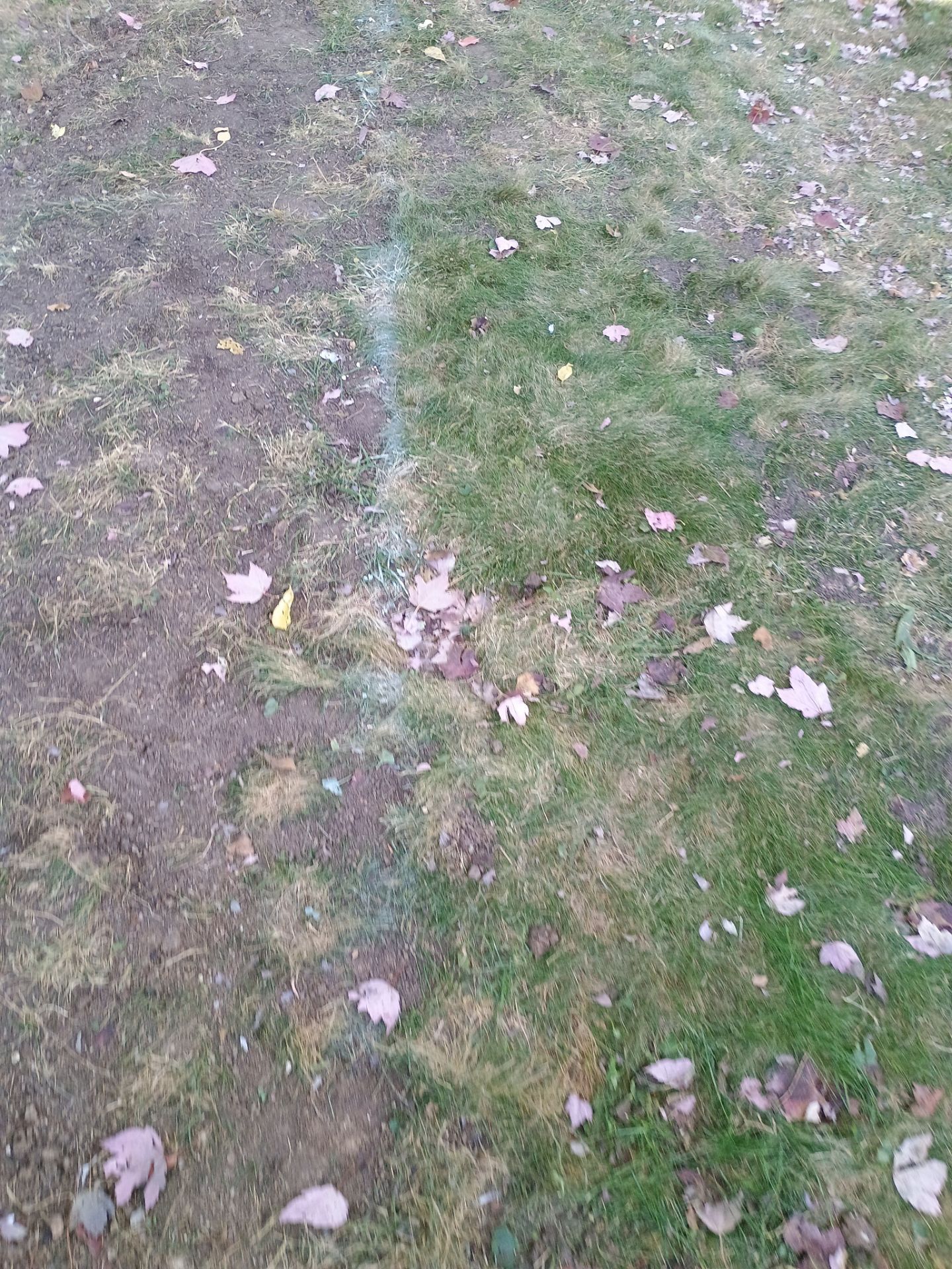 French Drain Installation for Michael by Waterproofing Northeast