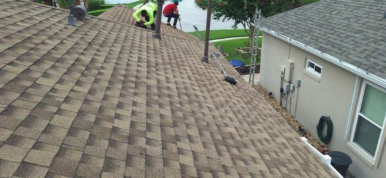 Desert Tan Shingles by Reimagine Roofing