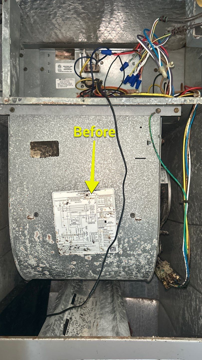 Air Duct Cleaning in Clermont by Hygienic Air, Inc