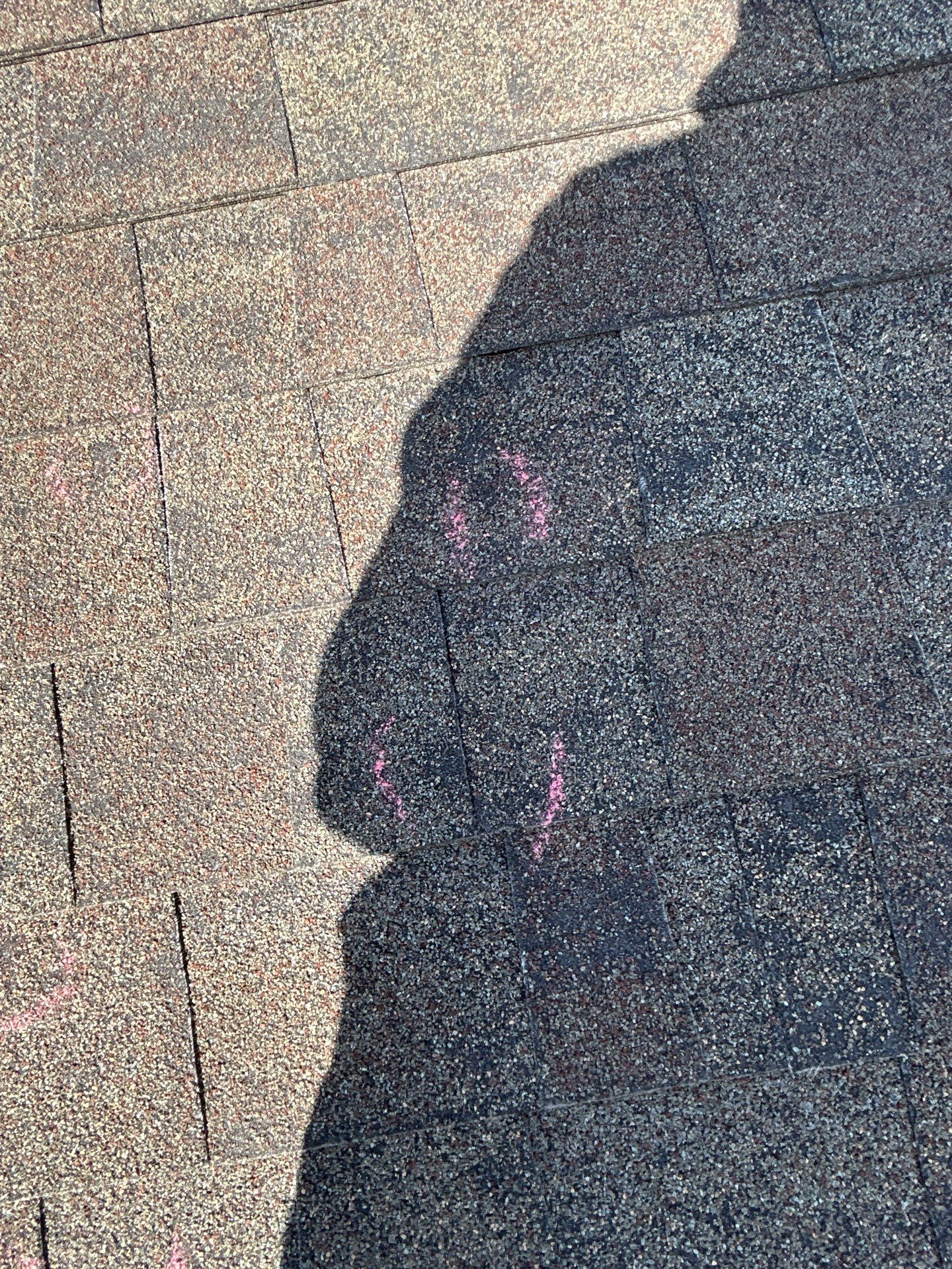 MARTHA C. by Boss Hogg Roofing