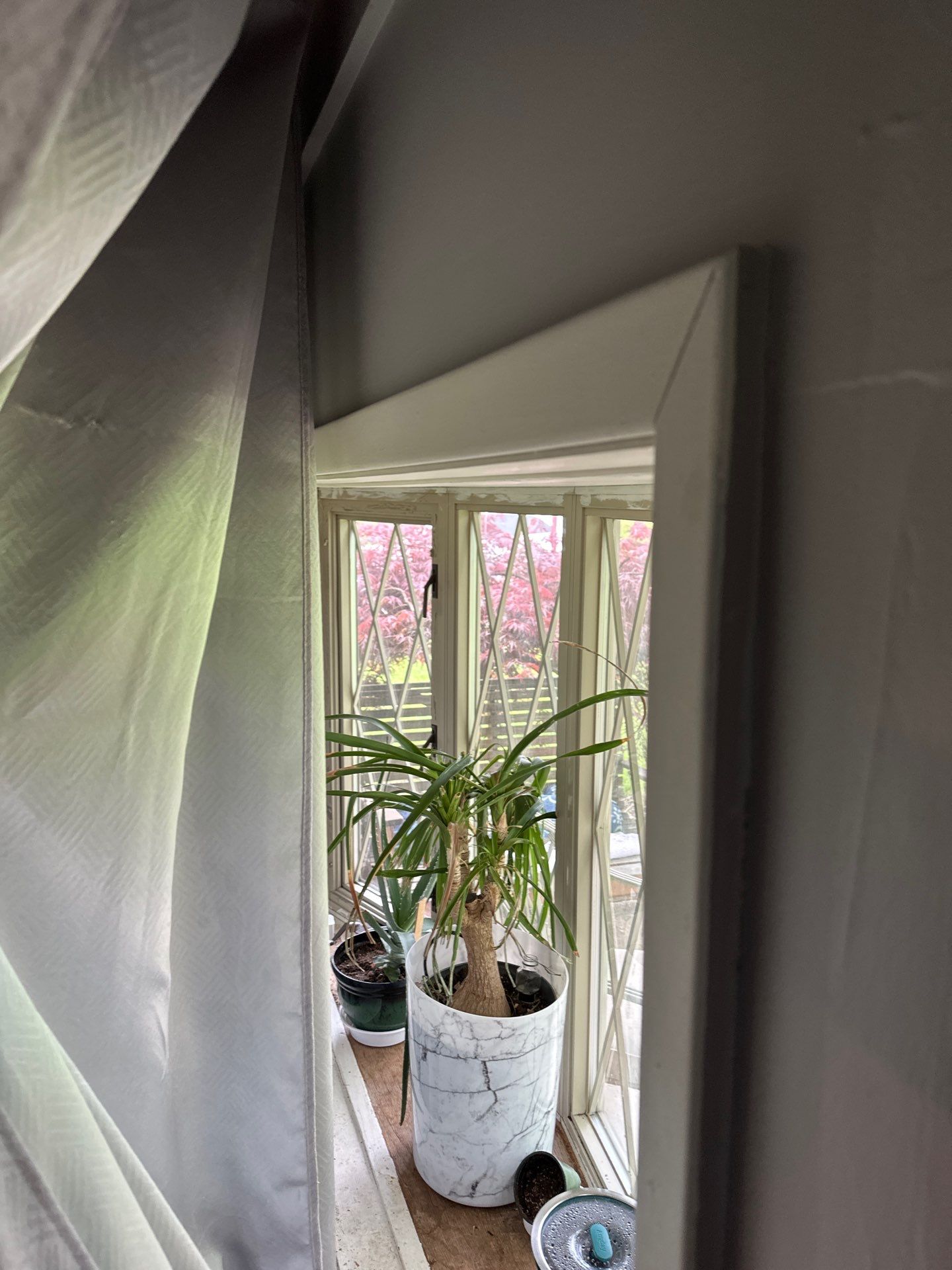 Hardie Siding and Window Project in Bridgeville by Cousins Roofing Siding & Decks