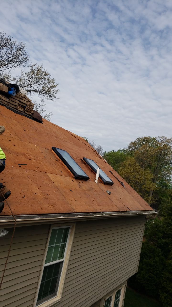 Springfield Certainteed Landmark Pro Designer Shingles by RM Banning, Inc.