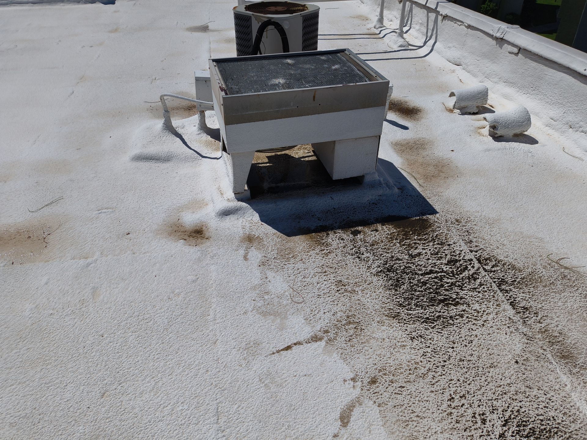 Mesa Apartment Flat Roof Coating and Interior Restoration Services by APM Builders LLC