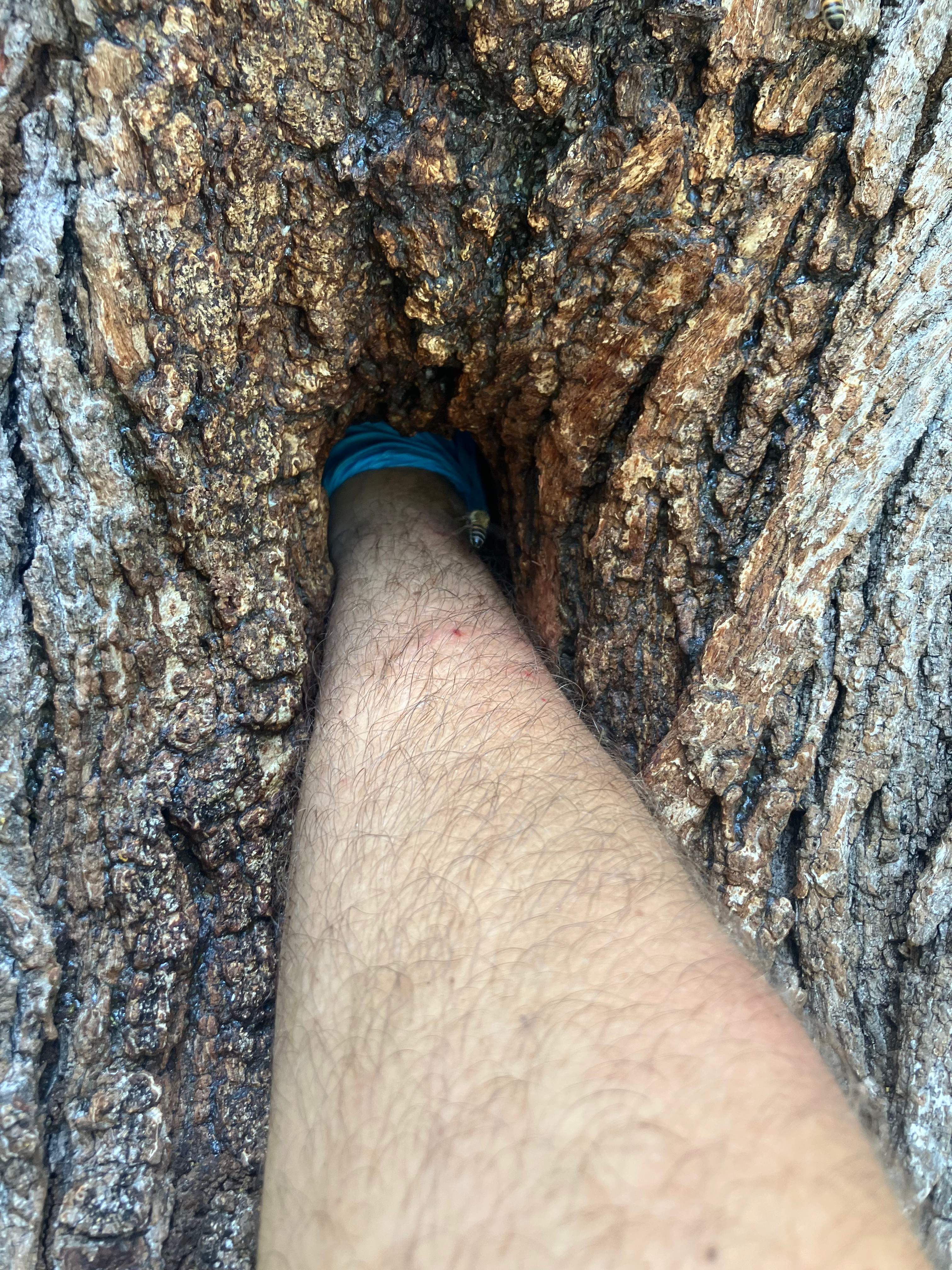 Tight Squeeze by Rockwall Honey Bee Company