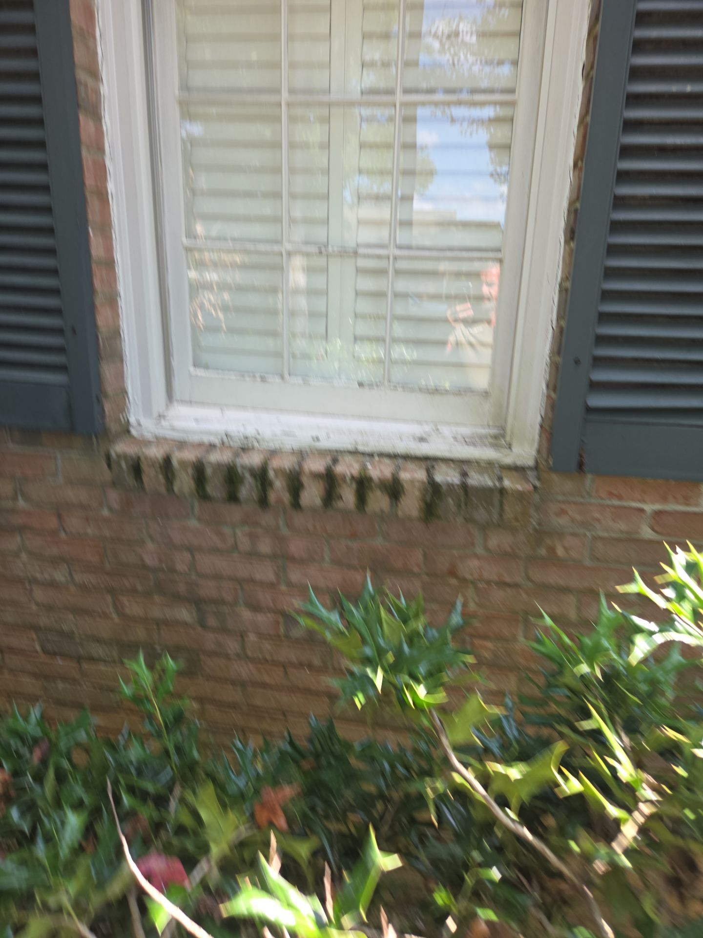 Florio Project in Vestavia  by The Window Source