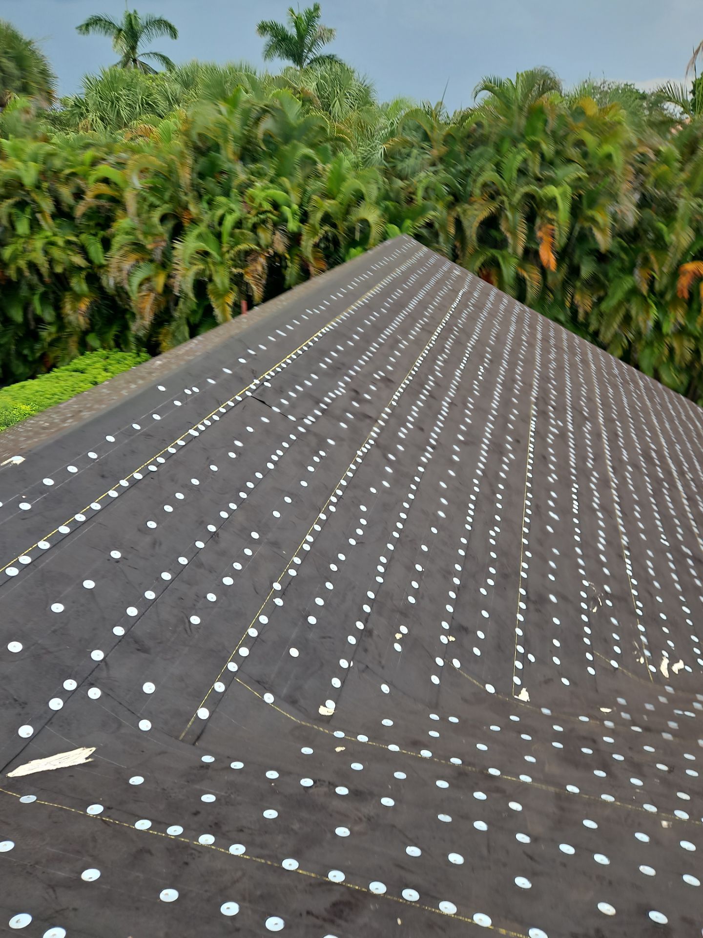 Residential Roofing Installation using 1" Nail strip metal roof by BLUES BROTHERS ROOFING