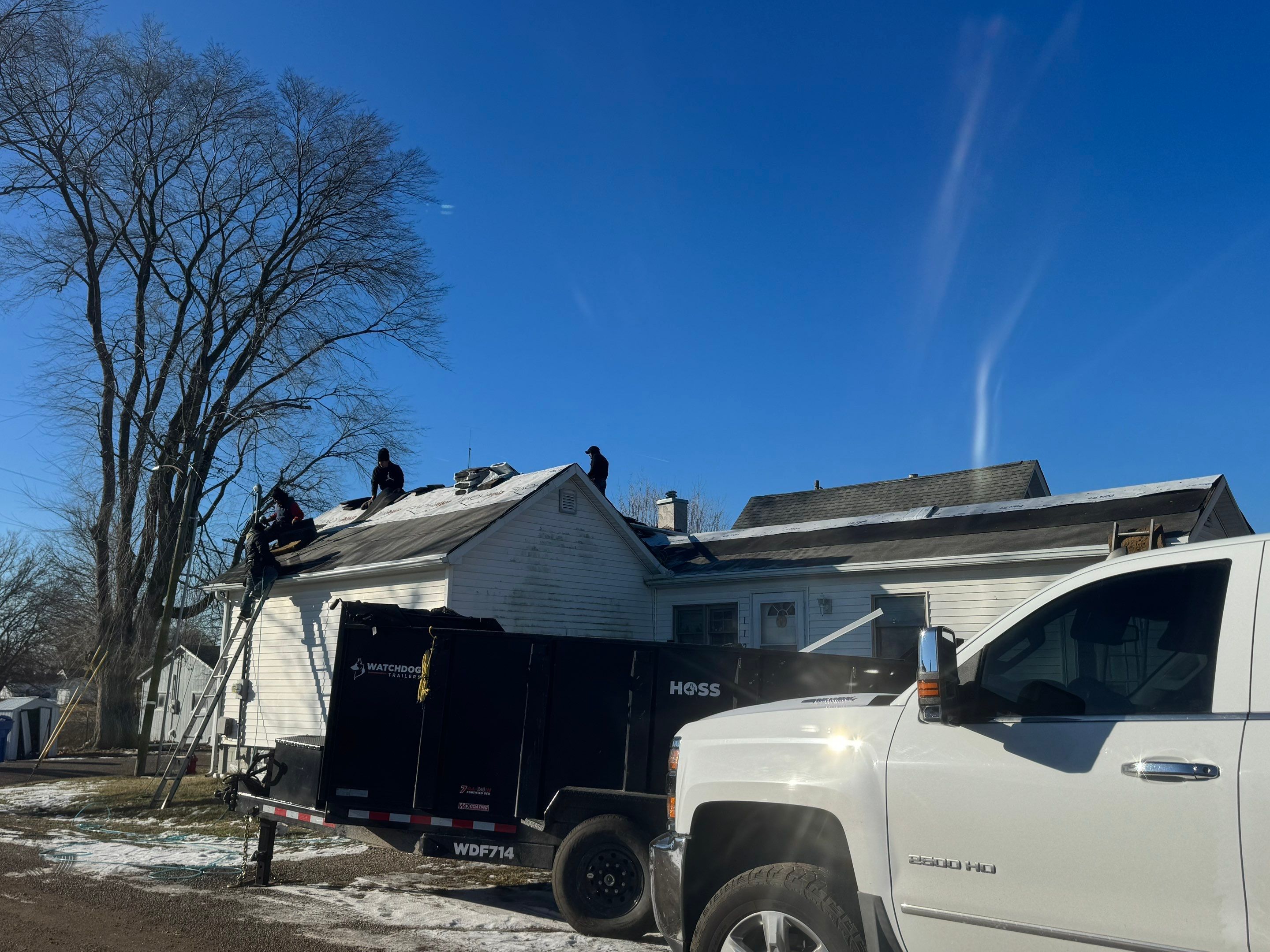 Sharkey Roof by Erie Home