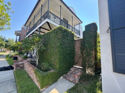 LANDSCAPE SERVICES: VINE TRIM AND BED CLEAN UP